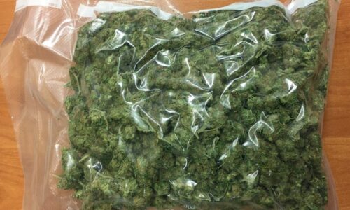 Areszt tymczasowy za posiadanie znacznych ilości marihuany