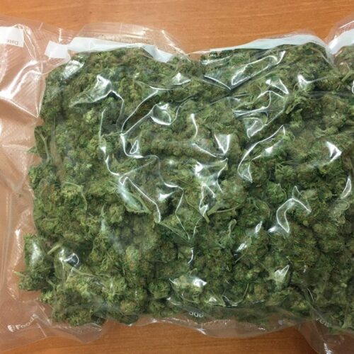 Areszt tymczasowy za posiadanie znacznych ilości marihuany