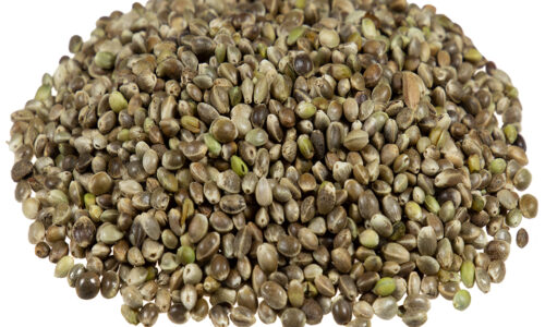 Najlepsze automaty prosto od królowej. Top 5 odmian Royal Queen Seeds